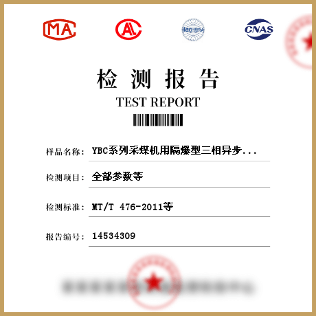 YBC系列采煤機(jī)用隔爆型三相異步電動(dòng)機(jī)檢測(cè)