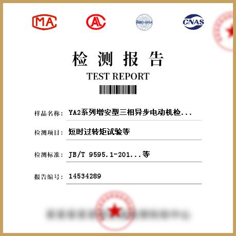 YA2系列增安型三相異步電動(dòng)機(jī)檢測(cè)